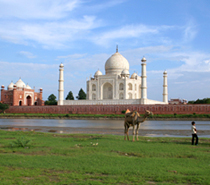 Golden Triangle Tour 3 Days